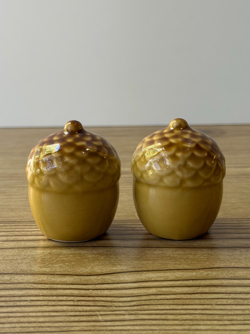 Fall Acorn Small Ceramic Salt & Pepper Shaker Set